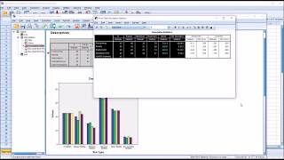 Calculating Descriptive Statistics in SPSS [upl. by Irra622]