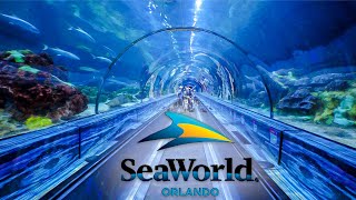 Top Things to Do at SeaWorld Orlando You Can’t Miss [upl. by Othello]