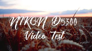 Nikon D5300 Video Test [upl. by Cordell]