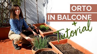 ORTO IN BALCONE preparazione semina e erbe aromatiche  TUTORIAL FIORITO [upl. by Ferrand]