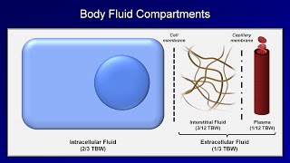 IV Fluids Lesson 1  Basic Principles [upl. by Weihs]