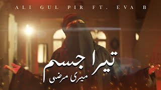 Tera Jism Meri Marzi  Ali Gul Pir Ft Eva B [upl. by Korry]