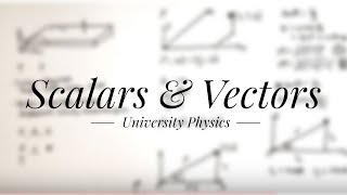 Scalars and Vectors  University Physics [upl. by Argus]