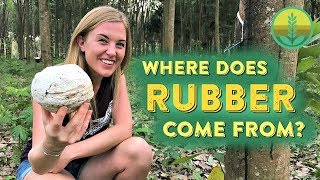 Where does Rubber come from  Maddie Moate [upl. by Monda674]