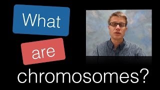 What are Chromosomes [upl. by Carmelo41]