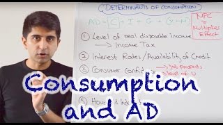 Y1 5 Consumer Spending and Aggregate Demand [upl. by Bonne]