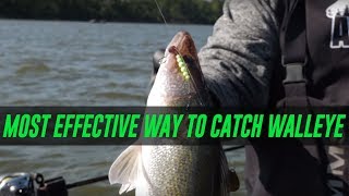 The Most EFFECTIVE Way To Catch WALLEYE EASY How To [upl. by Eiznekam959]