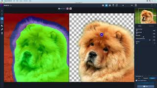 Learn better and faster image masking with Topaz Mask AI [upl. by Oiratnom37]