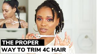 HOW TO TRIM YOUR OWN 4C HAIR Split endsTools amp Schedule Explained [upl. by Orlosky739]