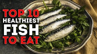 Top 10 Healthiest Fish To Eat [upl. by Virgil]