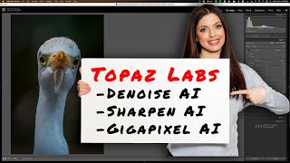 Topaz  Lightroom Workflow [upl. by Potts]