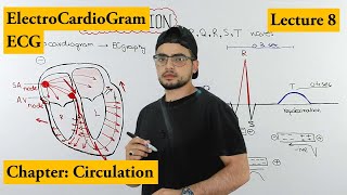 ECG Electrocardiogram fully explained  Chapter circulation  Video 8 [upl. by Beller]