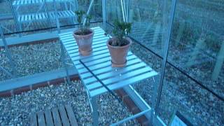 Vitavia Venus 8x6 Greenhouse [upl. by Hayse]