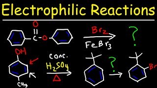 Electrophilic Aromatic Substitution Reactions Made Easy [upl. by Mohammed]