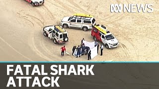 Surfer killed by Great White Shark northern NSW  ABC News [upl. by Allanson]