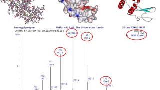 Mass spectrometry for proteomics  part one [upl. by Nereil]