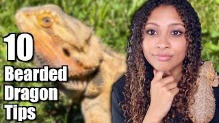 What I Wish I Knew Before Getting A Bearded Dragon [upl. by Kronfeld421]