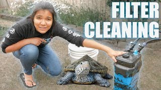 turtle tank CANISTER FILTER CLEANING [upl. by Aidile]