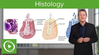 Histology – Course Preview  Lecturio [upl. by Graner]