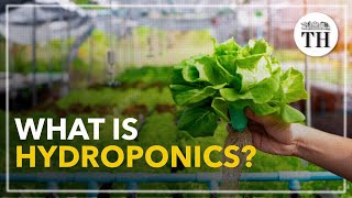 All about Hydroponics [upl. by Nuoras448]