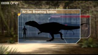 Breathing Techniques  Planet Dinosaur  Episode 1  BBC [upl. by Nai]