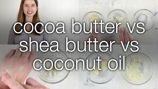 Cocoa Butter vs Shea Butter vs Coconut Oil How are they different [upl. by Reinaldo]