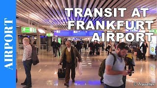 TRANSIT WALK AT FRANKFURT Airport FRA Terminal 1  Connection Flight Transfer Arriving amp Departing [upl. by Markland36]