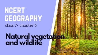 Chapter 6 Natural vegetation amp wildlife  Class 7  NCERT Geography  Types of Forest [upl. by Gunning463]