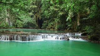 Sinharaja Forest Reserve Sri Lanka [upl. by Nealah]