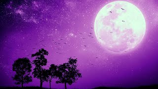 DEEP SLEEP in 5 MINUTES Relaxing Music • Sleep Music • Calming Music Stress Relief • Delta Waves [upl. by Yelir284]