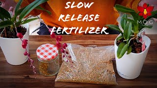 Slow Release Fertilizer with Orchids  How amp why I use it results amp more [upl. by Fredric]