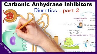 Pharmacology  Diuretics Part 2  Carbonic Anhydrase Inhibitors [upl. by Johnson]