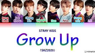 Stray Kids quotGrow Upquot SKZ2020 colorcodedlyrics HanRomEng [upl. by Aipmylo]