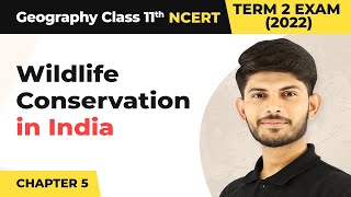 Class 11 Geography Chapter 5  Wildlife Conservation in India  Natural Vegetation [upl. by Auj283]