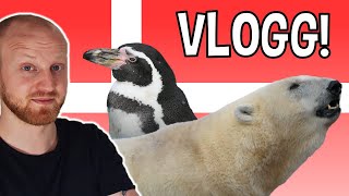 KÖPENHAMN ZOO  VLOGG [upl. by Ainekahs565]