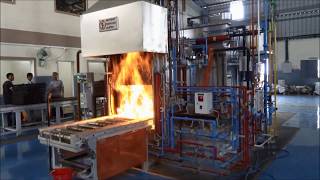 Heat Treatment Process [upl. by Stillas]