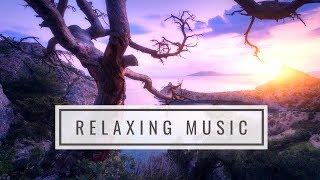 Relaxing Music Manifesting Happiness Harmony amp Inner Peace  Dissolve Negative Thoughts amp Emotions [upl. by Neillij]