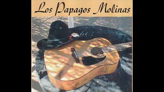 Los Papagos Molinas 2 [upl. by Etyam]