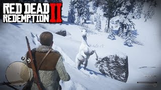 I LOST THE WHITE HORSE in Red Dead Redemption 2 [upl. by Kutchins]