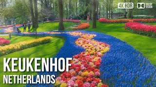 Keukenhof Tulip Gardens  🇳🇱 Netherlands 4K HDR Walking Tour [upl. by Esom714]