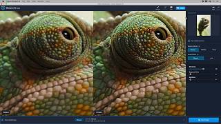 How to Fix Blurry Images with Topaz Sharpen AI [upl. by Hoo]