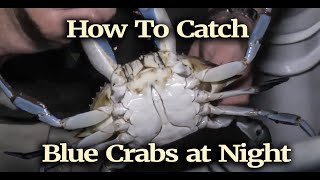 How To Catch Blue Crabs at Night [upl. by Eldnek]