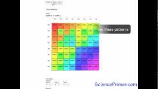 Punnett Square Calculator Overview [upl. by Carlen]