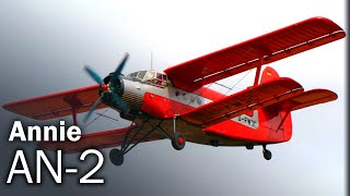 An2  The history of the eternal biplane [upl. by Oemac]