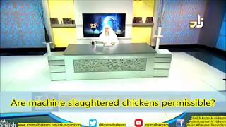 Are Machine Slaughtered Chickens Halal to eat  Sheikh Assim Al Hakeem [upl. by Dleifxam247]