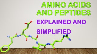 Chapter3Amino acids peptides and proteins Part1 [upl. by Nossila]