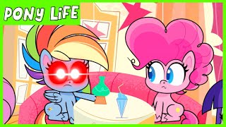 Pony Life  NEW  Rainbow Dash Loyalty Moment  Kindness Day  MLP Pony Life [upl. by Xino1]