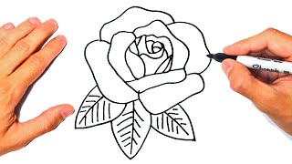 Cómo dibujar una Rosa Paso a Paso [upl. by Dotty457]