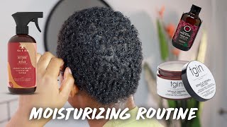 DAILY Moisturizing amp Growth Routine for SHORT Natural Hair [upl. by Nednyl]